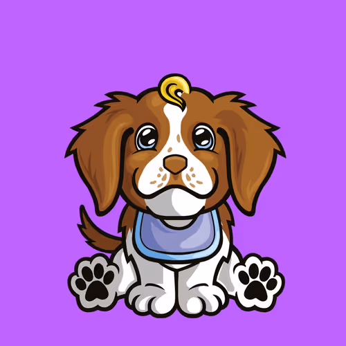Brittany Spaniel 0816