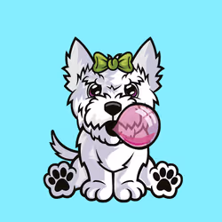 West Highland White Terrier 0364
