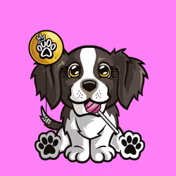 English Springer Spaniel 0608