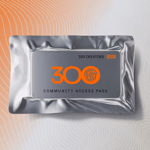 300 creators membership #14