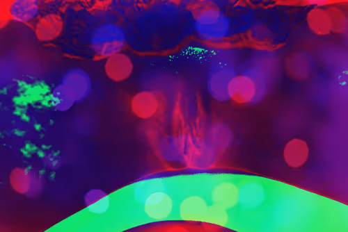 Item #27326801138704586233236331855057173987053485732714203229982972368481404980360 Media