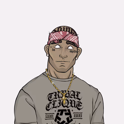 Hooligan #897