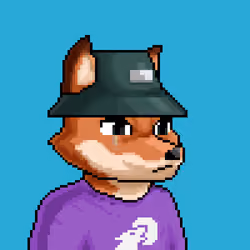 Apex Wolf #2430