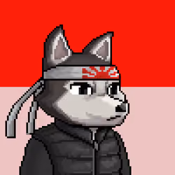 Apex Wolf #4178