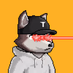 Apex Wolf #3477