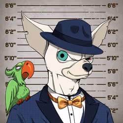 4592