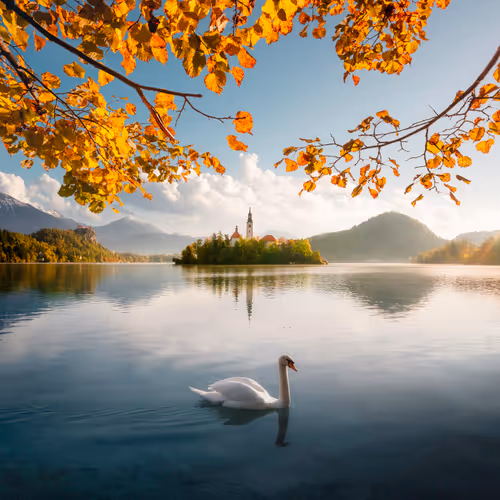 The World Through My Lens V2