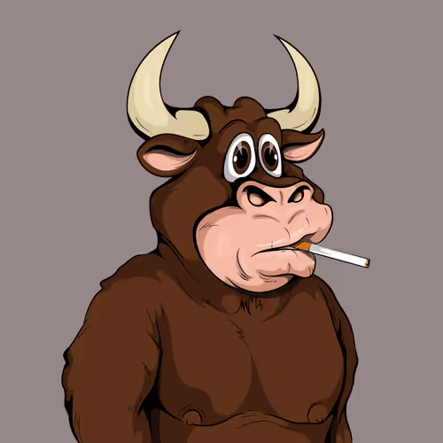 Bscwin Bulls