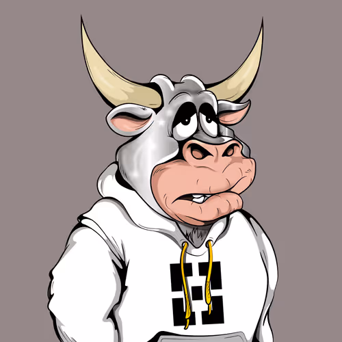 Bscwin Bulls
