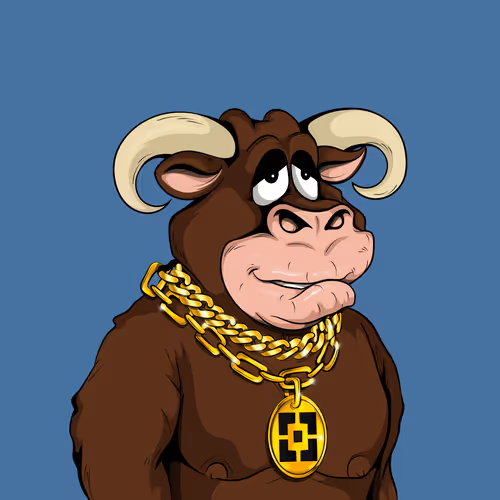 Bscwin Bulls