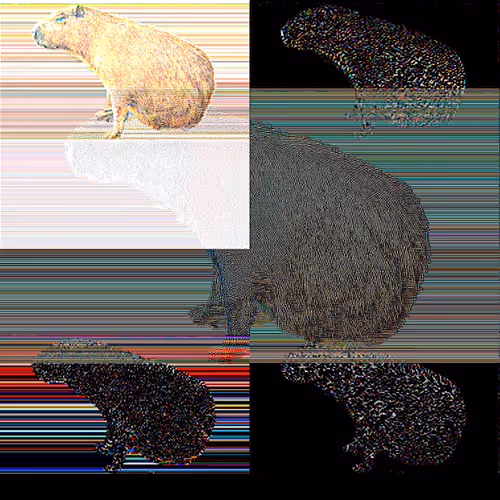The Capybaras of Ipaussu
