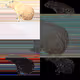 The Capybaras of Ipaussu