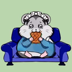 51