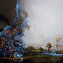 the view never changes