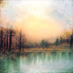 beauty in a blissful mist