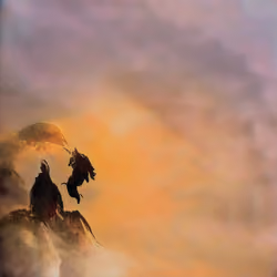 the samurai's odyssey