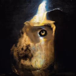 dogecoin millionaire