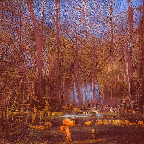eden at sunset