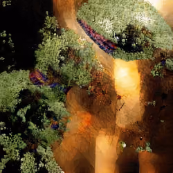 the tunnel of love