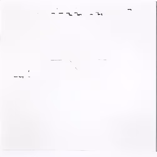 intentionally blank page