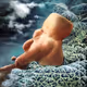252