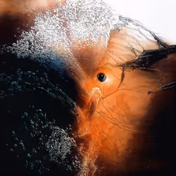 perpetual motion