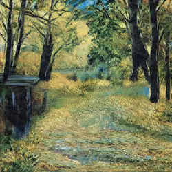 stream in the country