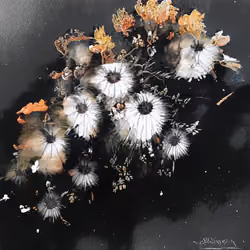 tread softly because you tread on my dreams
