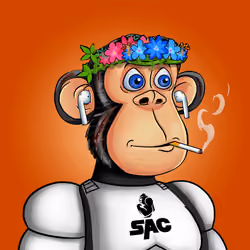 Strong Ape Club #2514