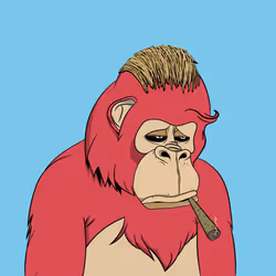 Cool Gorilla #664