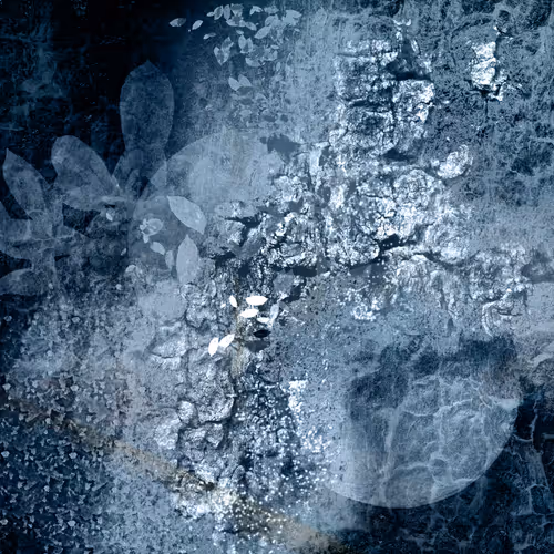 Contemporary Abstractions