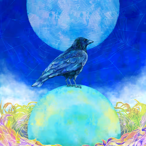 Saoris art collection