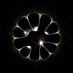 Wormholes #150