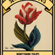 Tulip Matchbox Covers