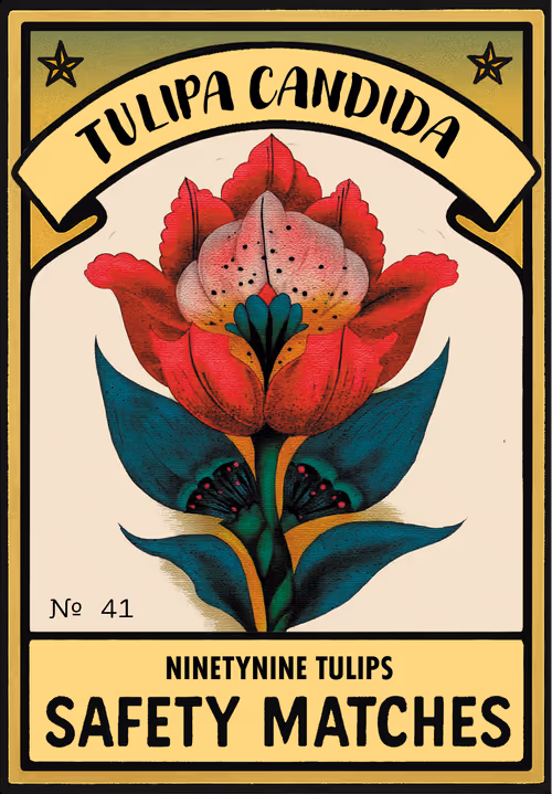 Item #101636684472790708123297563778999434365250913357410509721089955663384275845179 Media