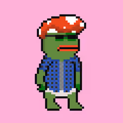 PEPO DGAF #33