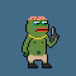 PEPO DGAF #2798
