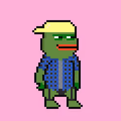 PEPO DGAF #3028