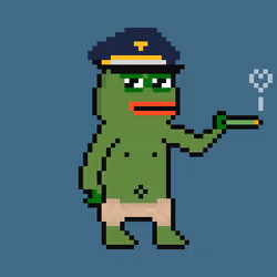 PEPO DGAF #3027