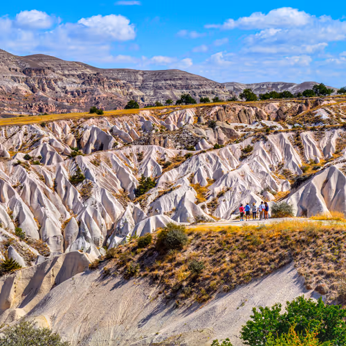 Enticing Nature & Landscape