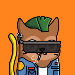 SUN CAT #1789