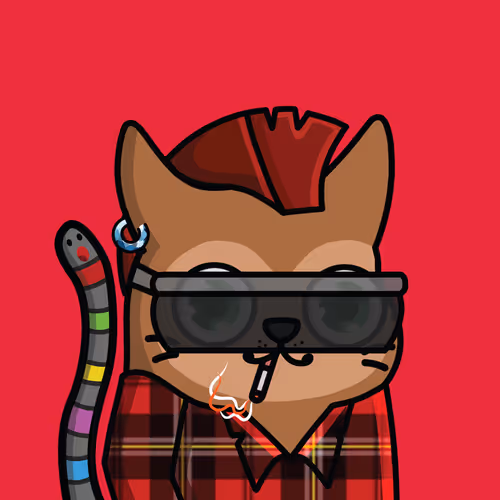 Sun Cat Og