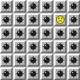 146