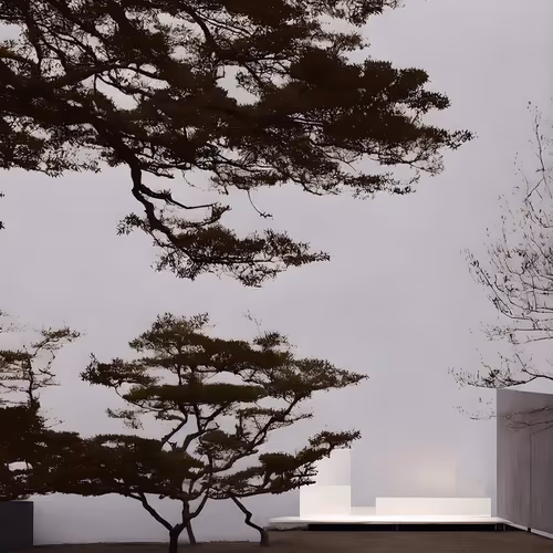 Taketo Muroi