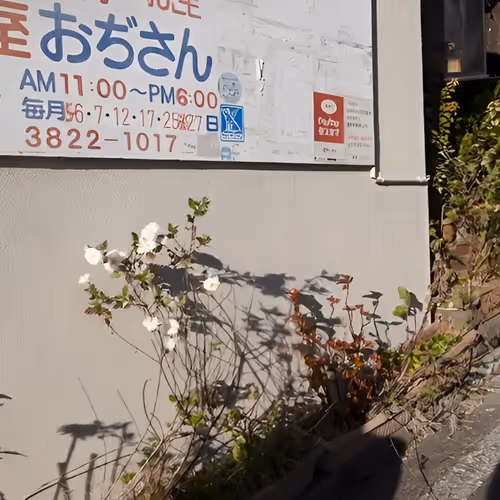 Taketo Muroi