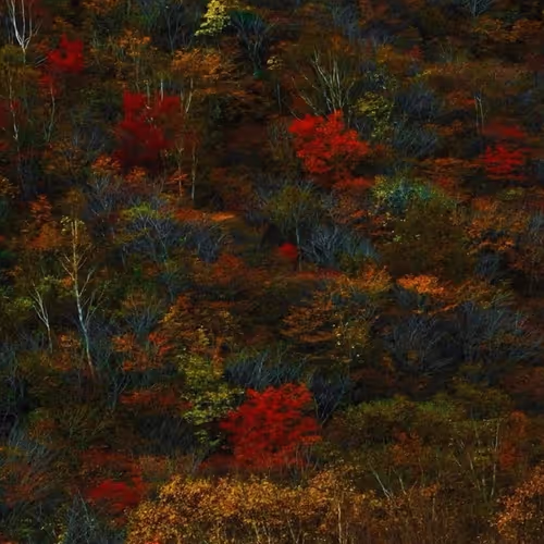 Taketo Muroi