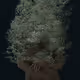 Blooming again