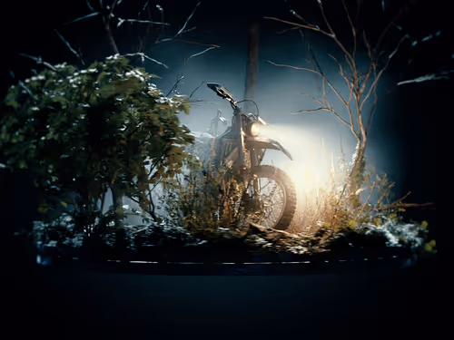 Forest Night Bike