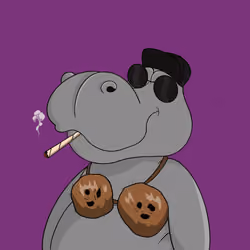 Hippo #148