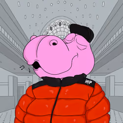 Hippo #585